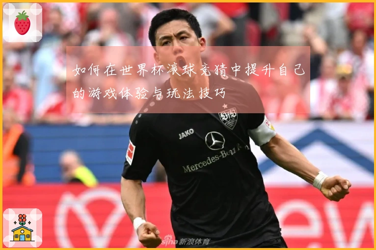 如何在世界杯滚球竞猜中提升自己的游戏体验与玩法技巧